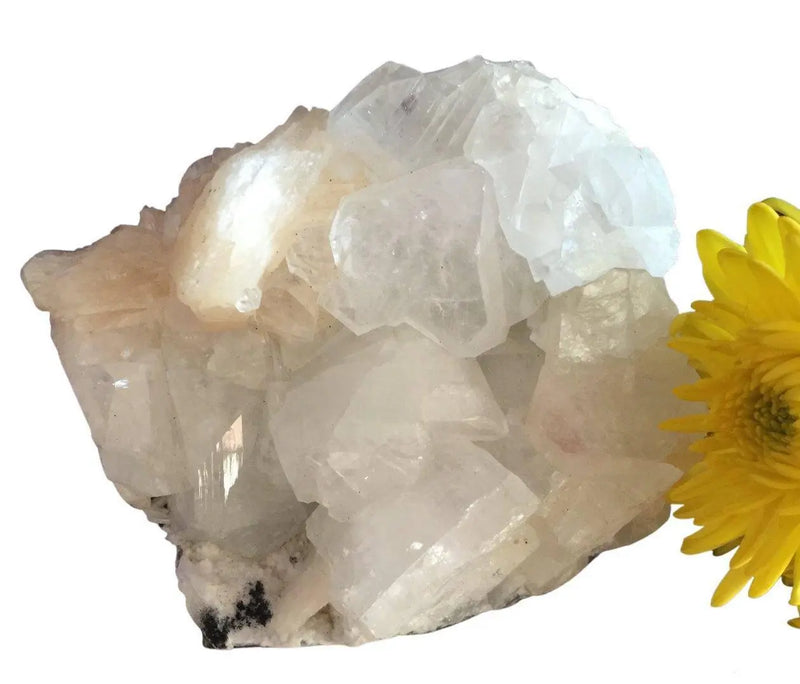Apophyllite Cluster Heavens Gems and Wellbeing