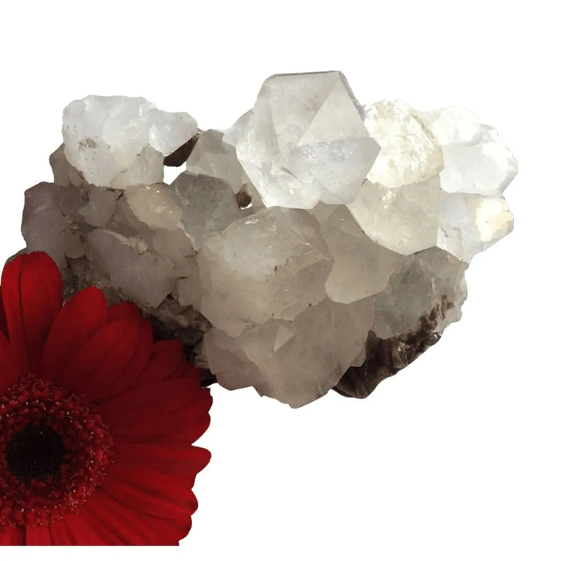 Axinite Specimen Heavens Gems and Wellbeing
