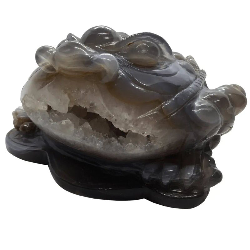 Frog with Druzy- Agate Feng Shui Money Heavens Gems and Wellbeing