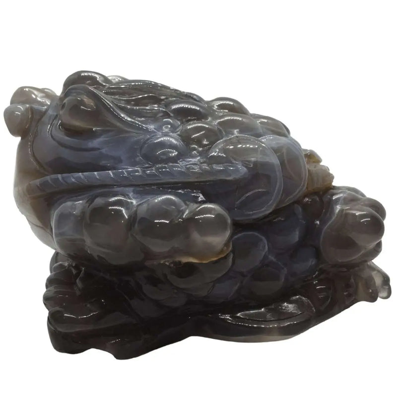 Frog with Druzy- Agate Feng Shui Money Heavens Gems and Wellbeing