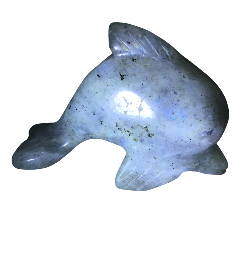 Labradorite Mini Dolphin Carving Heavens Gem and Wellbeing