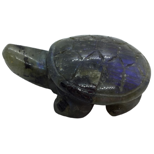 Labradorite Turtle Heavens Gem and Wellbeing