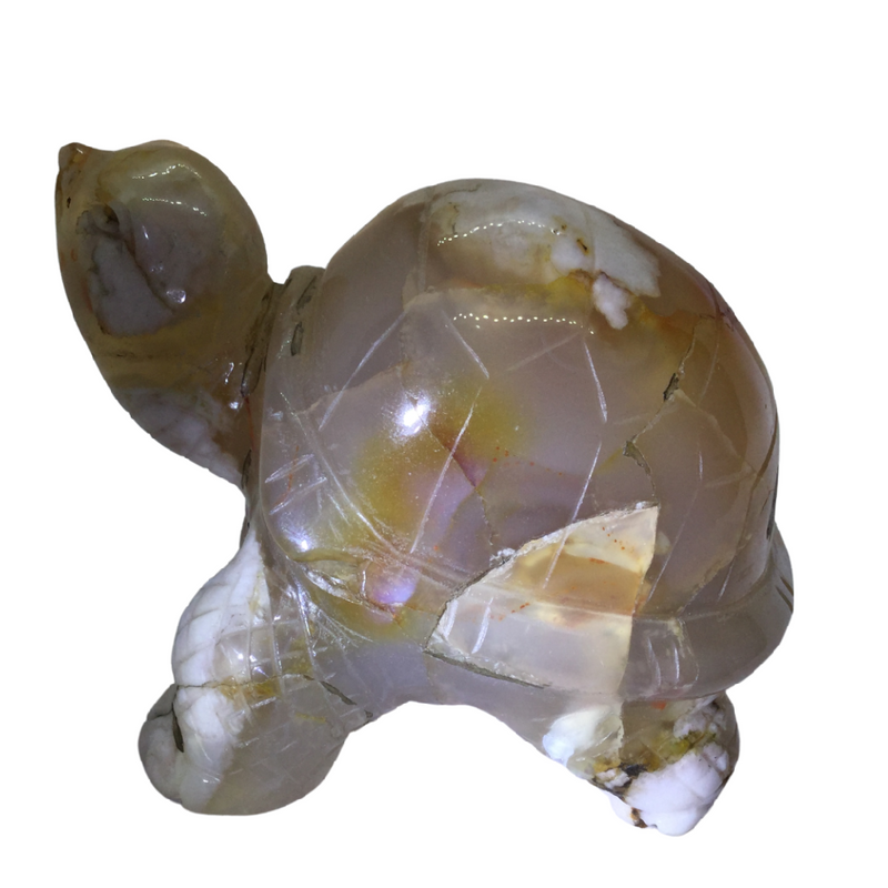 Cherry Blossom Agate Turtle Heavens Gem and Wellbeing