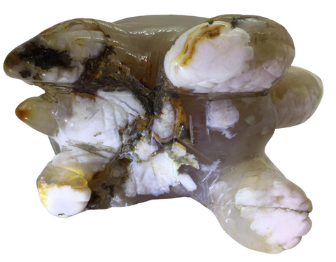 Cherry Blossom Agate Turtle Heavens Gem and Wellbeing