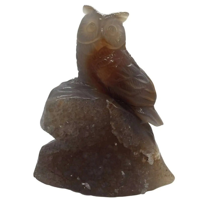 Owl with Geode - Agate Heavens Gems and Wellbeing