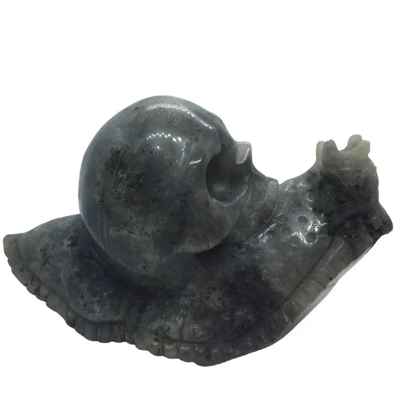 Skull as Snail Shell -Labradorite Heavens Gems and Wellbeing
