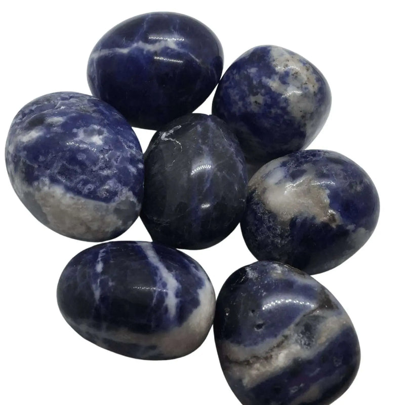 Sodalite Tumble Stones - Large Heavens Gem and Wellbeing