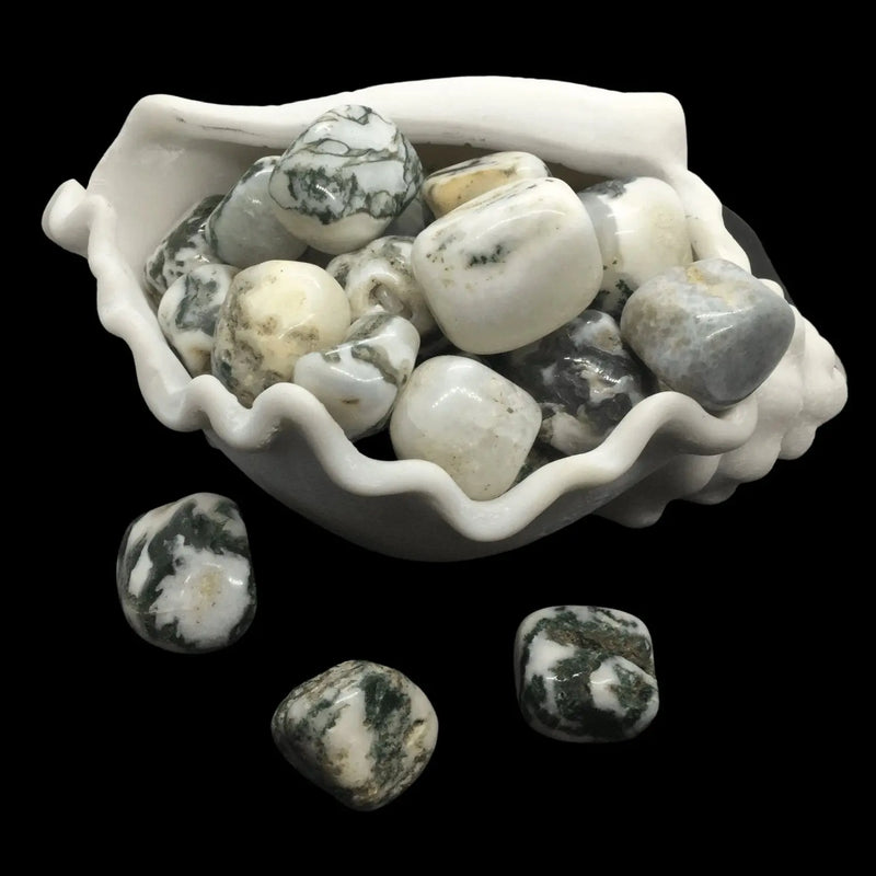 Tree Agate Tumbles Stones Heavens Gems and Wellbeing