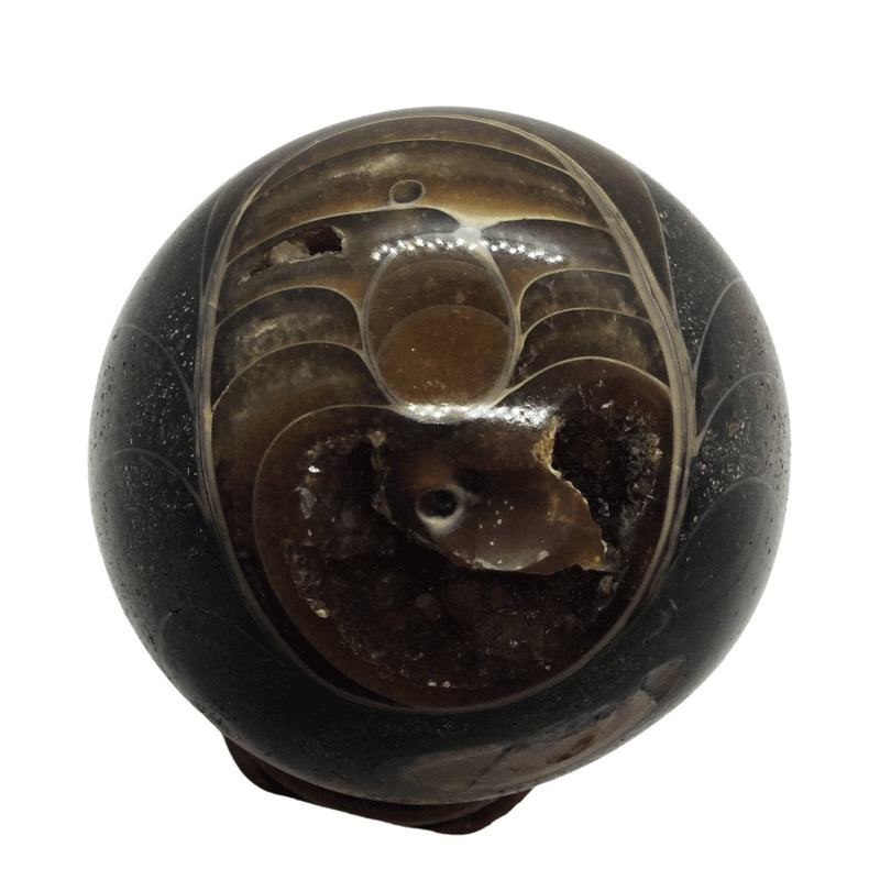 Ammonite Fossil Sphere Heavens Gem and Wellbeing