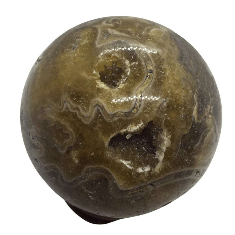 Ammonite Fossil Sphere Heavens Gem and Wellbeing