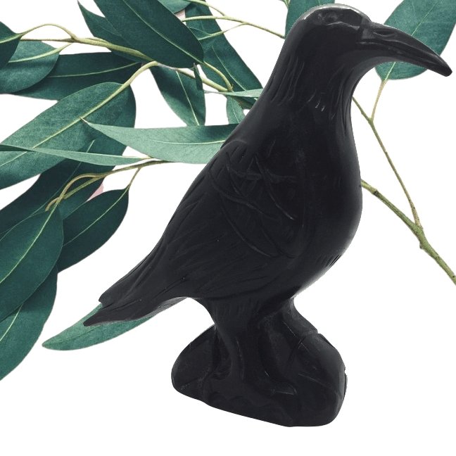 Black Jade Crow Heavens Gem and Wellbeing