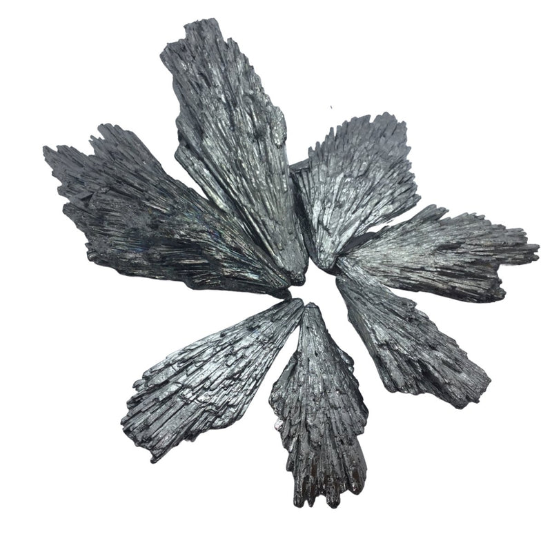 Silver Titanium Kyanite Feathers Heavens Gems and Wellbeing